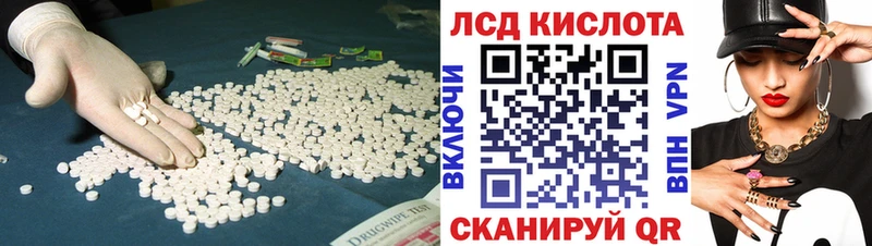 Купить Борзя Лсд 25 экстази кислота